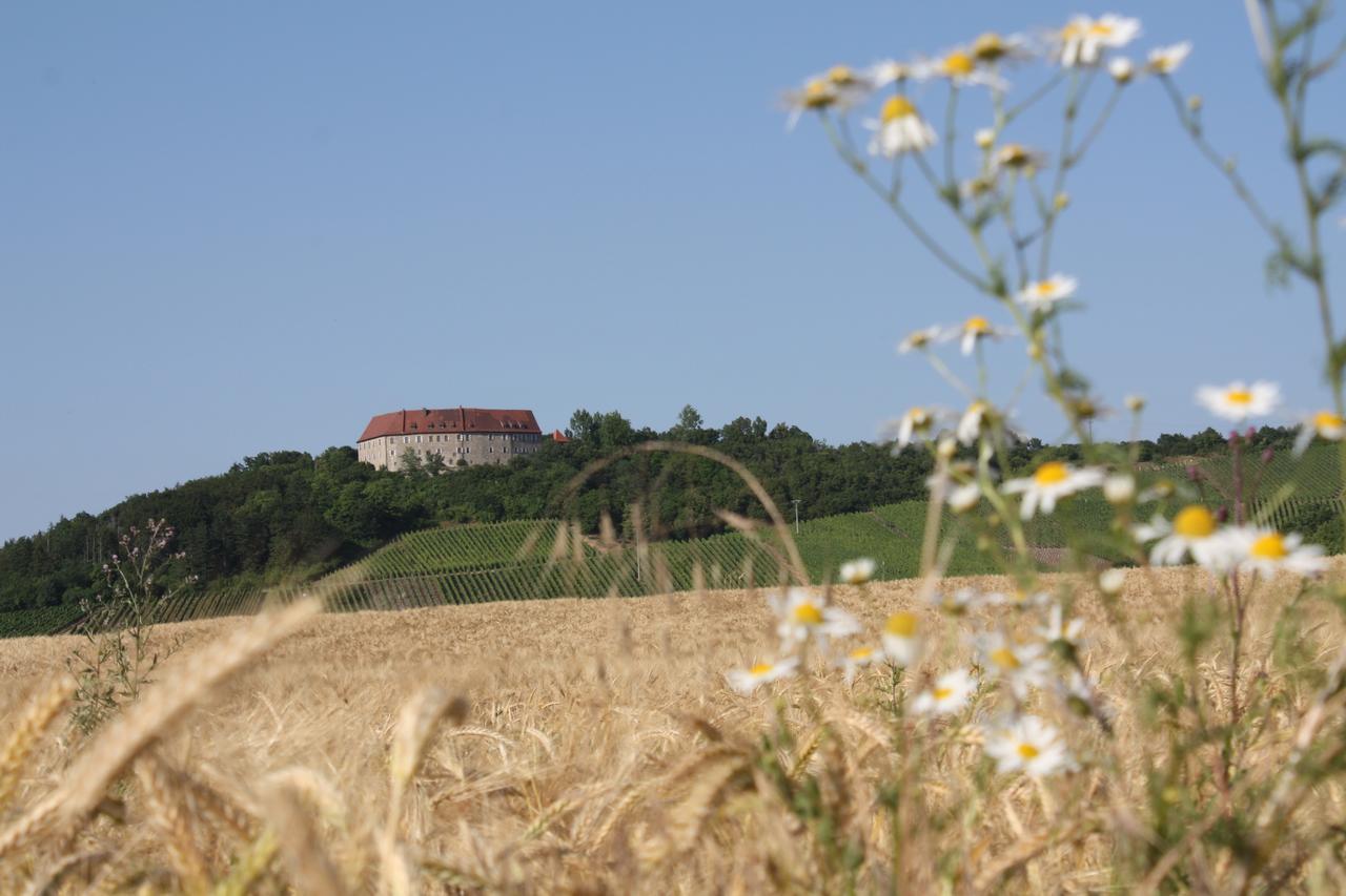 Schwarzer Adler - Hotel Garni Ipsheim Kültér fotó